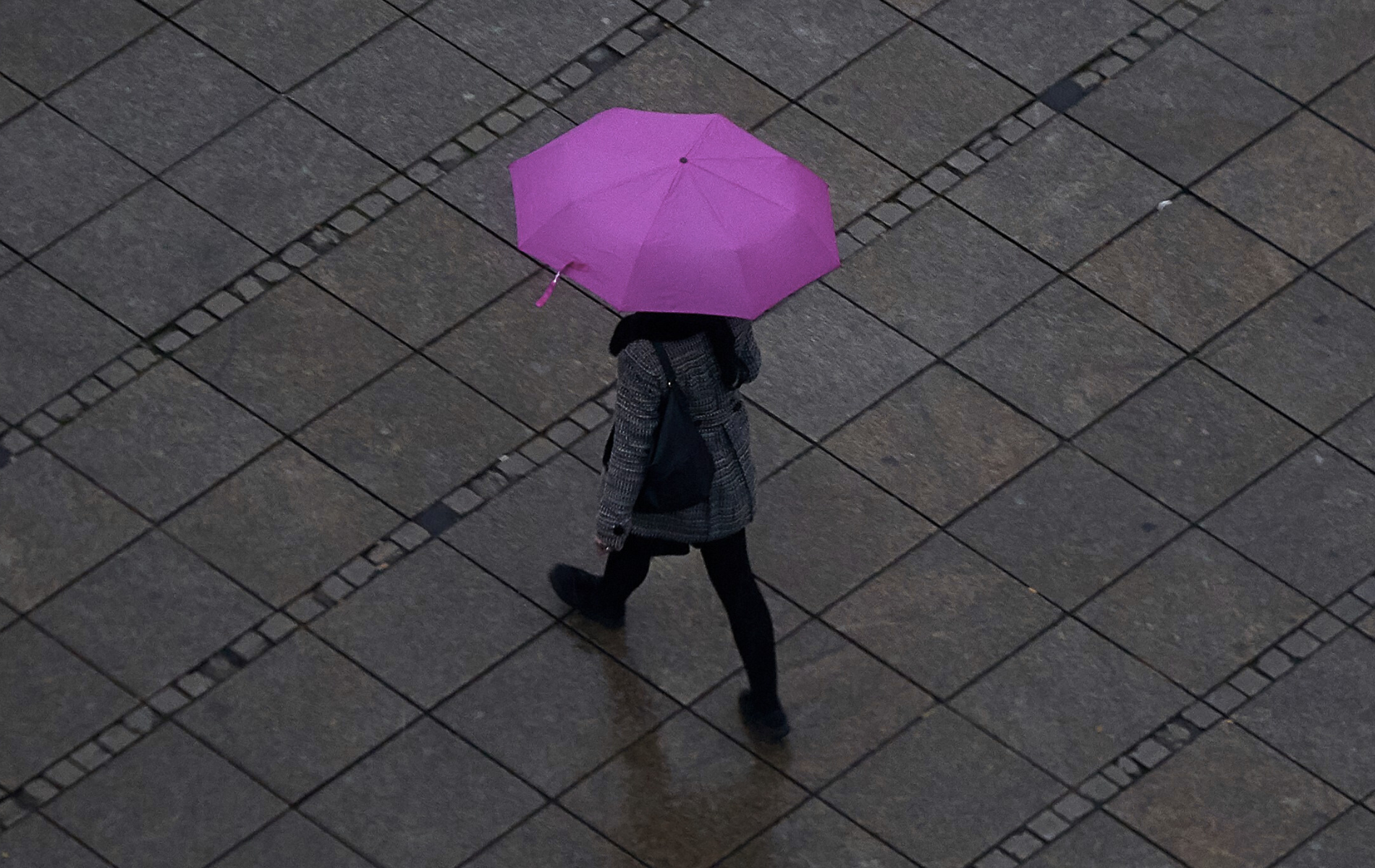 Person walking under a purple umbrella